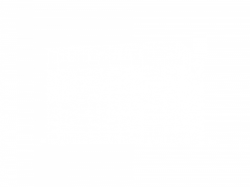in.06